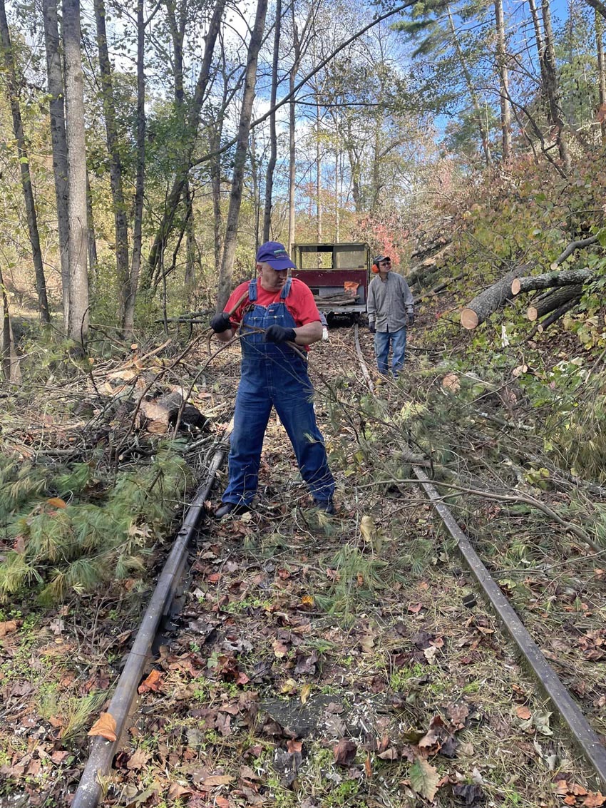 track work removing limbs oct 22.jpg